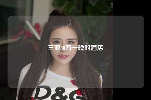 三亚30万一晚的酒店