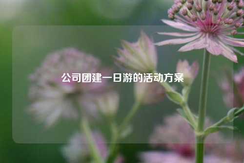 公司团建一日游的活动方案