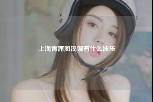 上海青浦凤溪镇有什么油压