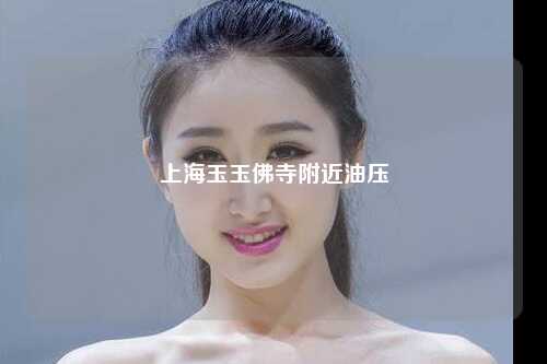 上海玉玉佛寺附近油压