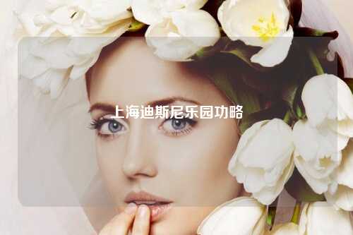 上海迪斯尼乐园功略
