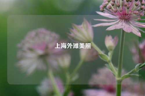 上海外滩美照