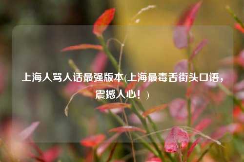 上海人骂人话最强版本(上海最毒舌街头口语，震撼人心！)