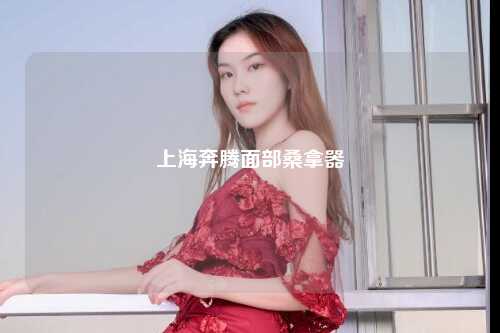 上海奔腾面部桑拿器