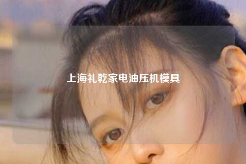 上海礼乾家电油压机模具