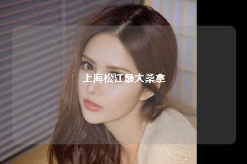 上海松江最大桑拿