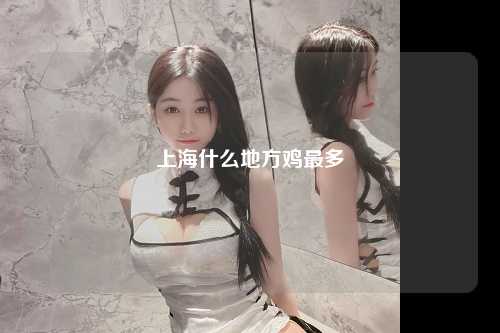 上海什么地方鸡最多