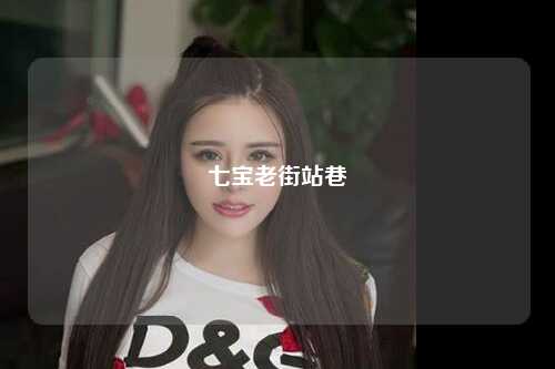 七宝老街站巷